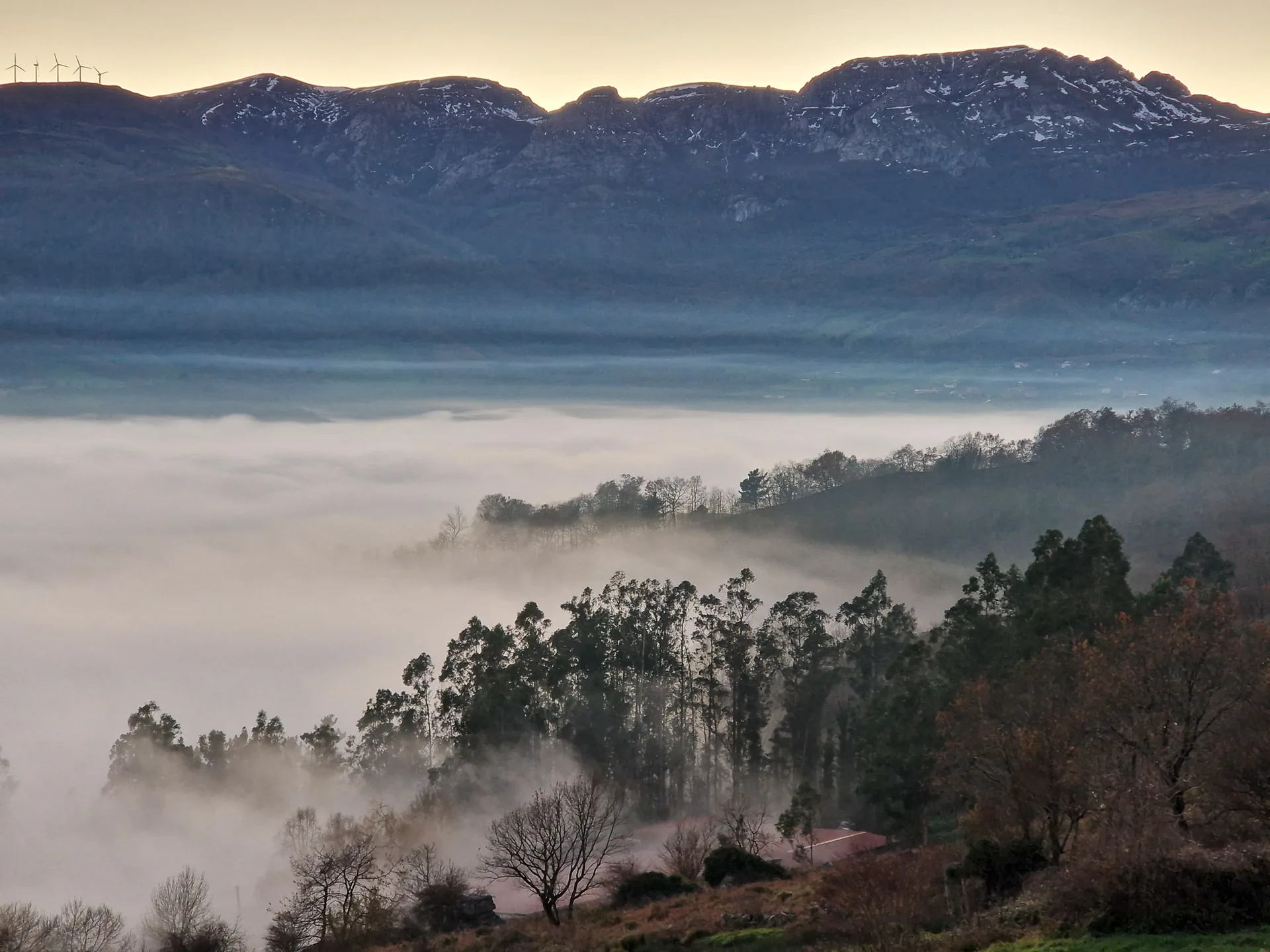 Beech forest in Collados del Asón