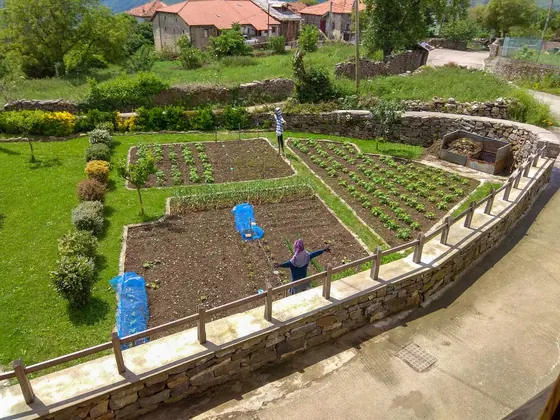Vegetable garden plot